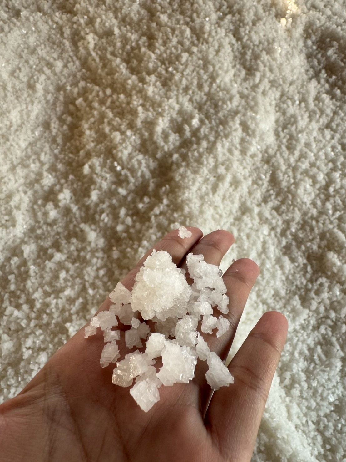 title - ส.ป.ก. จันทบุรี ร่วมลงพื้นที่ติดตาม นายกฤษ อุตตมะเวทิน รองปลัดกระทรวงเกษตรและสหกรณ์ และคณะ ในการติดตามคาดการณ์สถานการณ์เกลือทะเล และประชุมคณะกรรมการพัฒนาเกลือทะเลไทย และคณะทำงานภายใต้คณะกรรมการพัฒนาเกลือทะเลไทย 